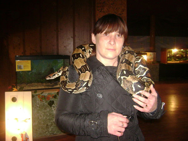 Людмила Писарева