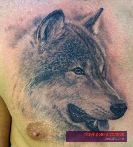 Николай Сычёв