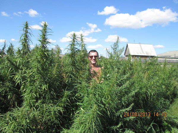 Иван Лысенко