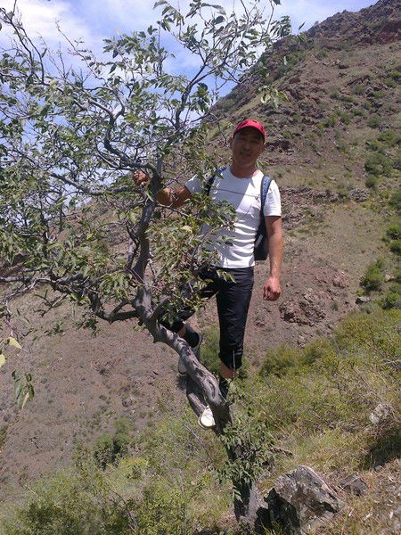 Еркин Базаркул