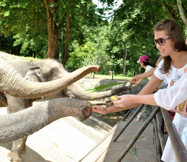 Анастасия Неродова