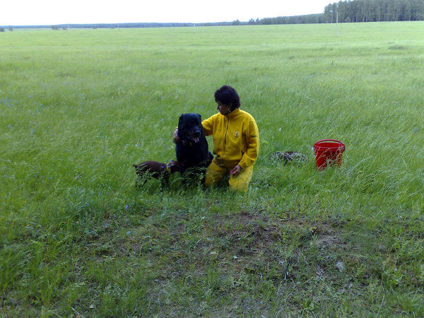 Елена Стрельцова