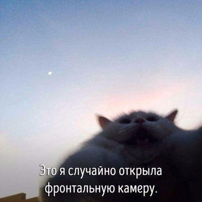 Светлана Светланова