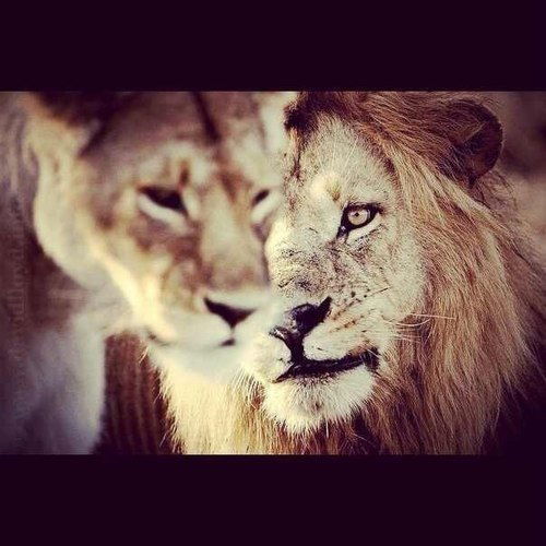 Салтанат Амиржановна