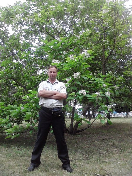 Владимир Куцевыч