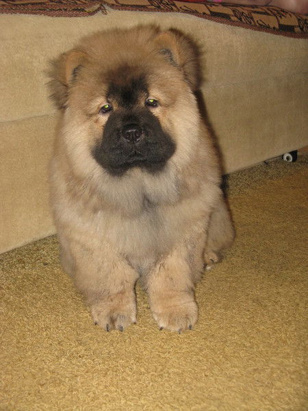 Ольга Скороходова