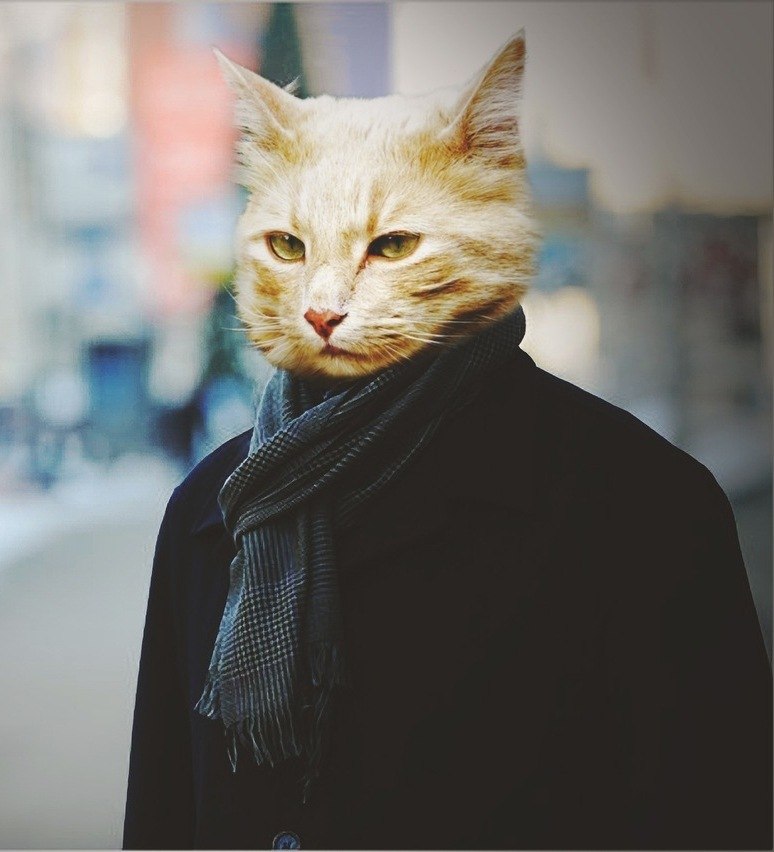 Ильмир *********