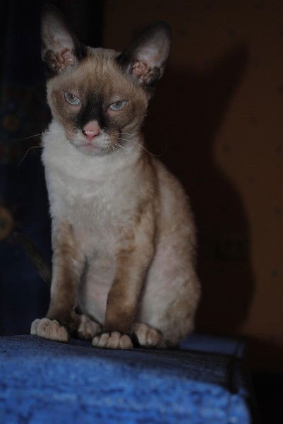 Наталья Яковлева