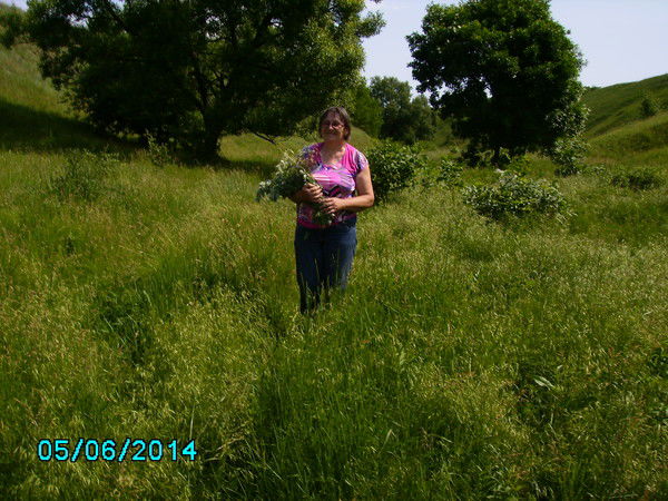 Раиса Воронова