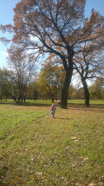 Маркиза Зайцева