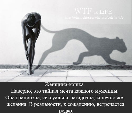 Айнур *********************