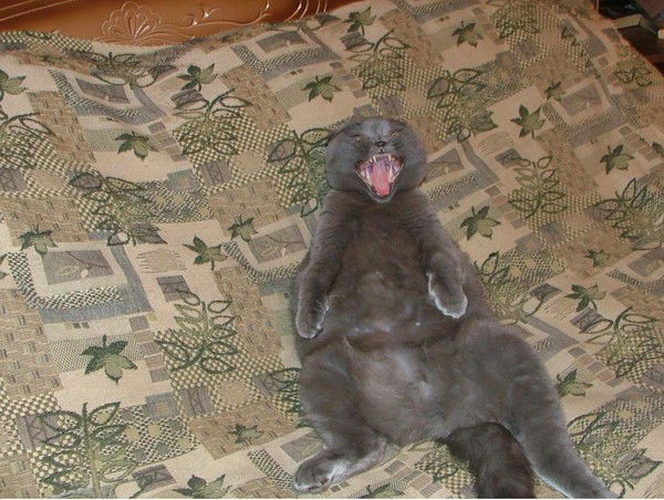 Сергей Кротов