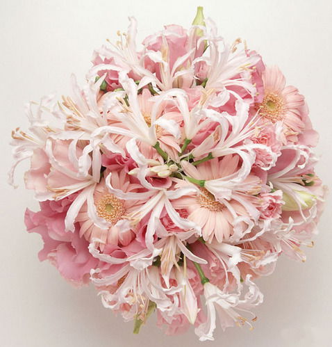 Елена Сербина