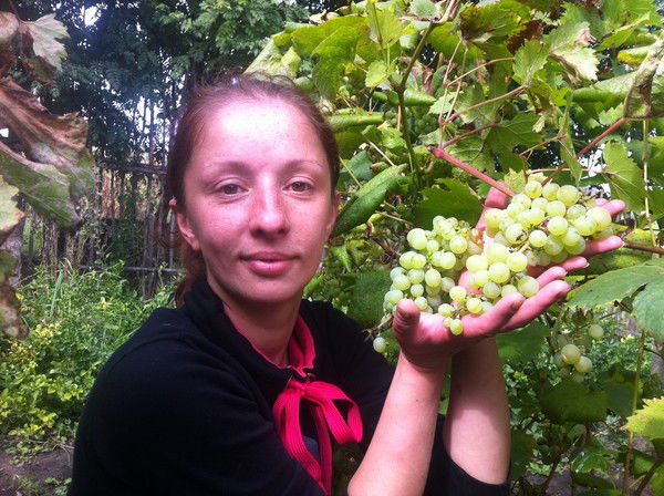 Елена Кононова