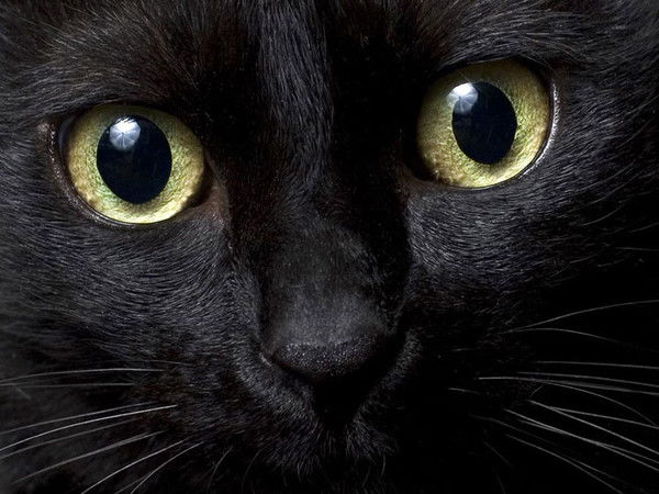 Татьяна Филипчик