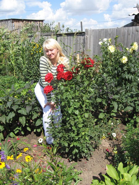 Наталия Золотых