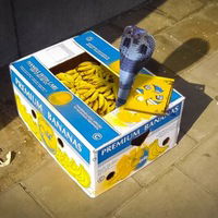 Настенька Страутс