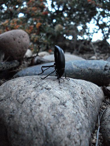 Альмира Давлетханова