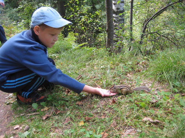 Максим Исаев