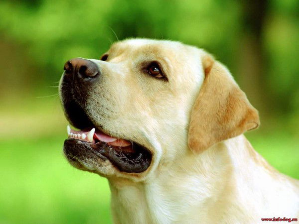 Нурлан Досмагамбетов