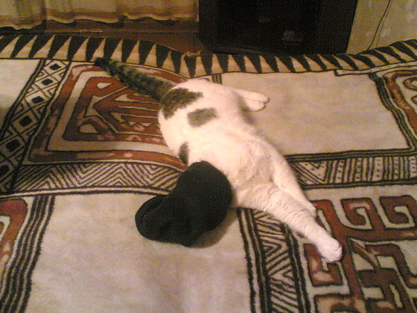 Афанасий Бобров