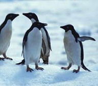 Валерий Чижов