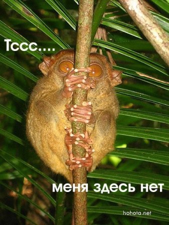 Екатерина Будылева