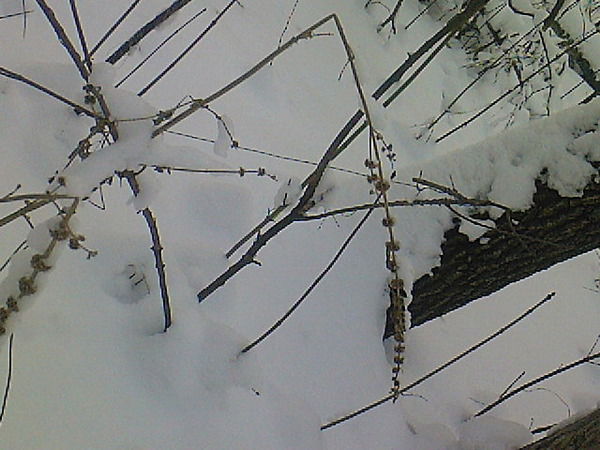 Татьяна Пономаренко