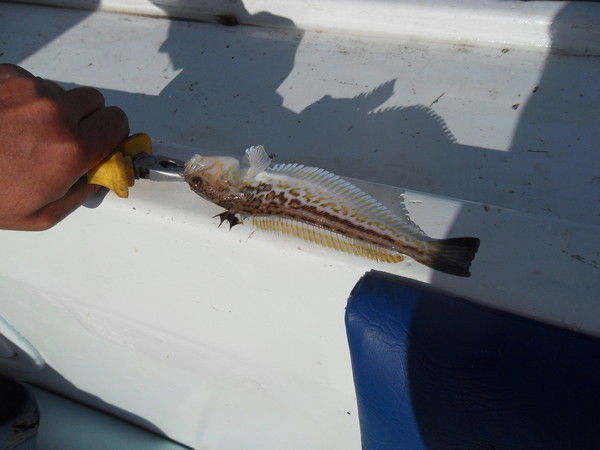 Сергей Солдатов