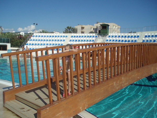 Светлана Катаева