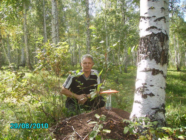 Николай Евстигнеев