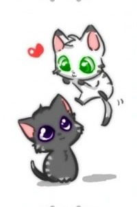 Катя Комарь