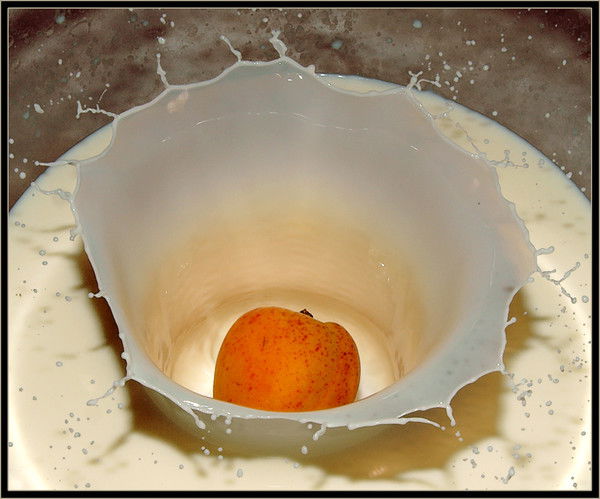 Елена Жирнякова