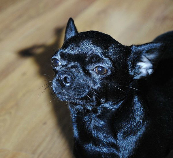 Алена Алена