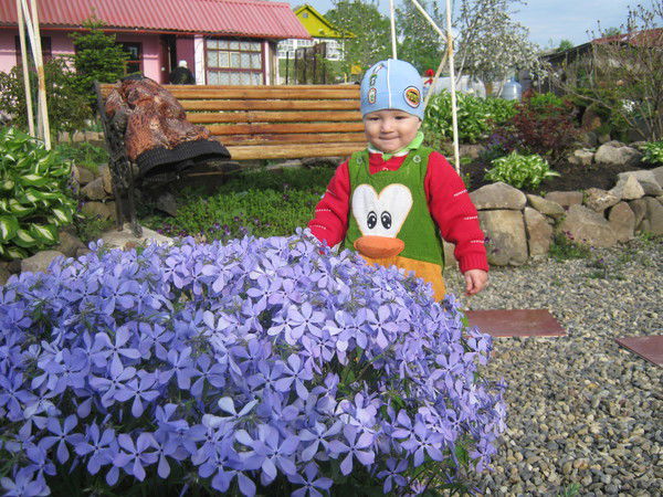 Кристина Кошманова