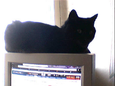 Олег Чернов