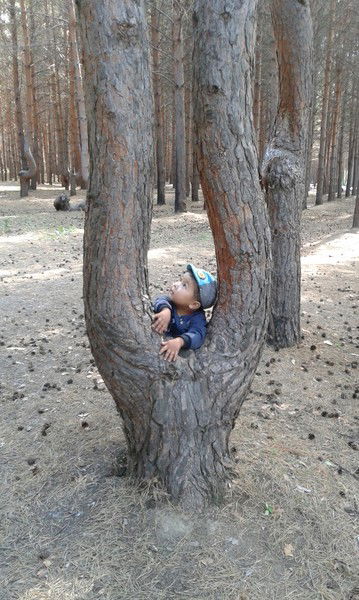 Эльмира Джакишева