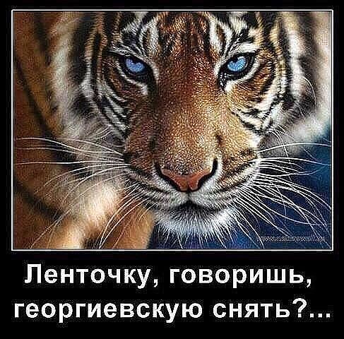 какие зубы появляются последними у человека загадка ответ. Смотреть фото какие зубы появляются последними у человека загадка ответ. Смотреть картинку какие зубы появляются последними у человека загадка ответ. Картинка про какие зубы появляются последними у человека загадка ответ. Фото какие зубы появляются последними у человека загадка ответ