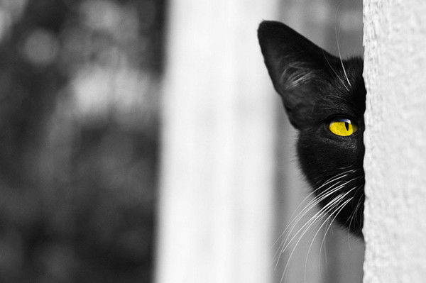 Марина Сойлемезиди