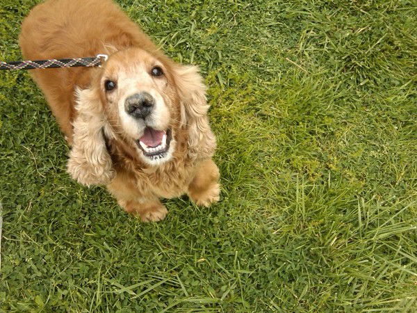 Татьяна Иваненко