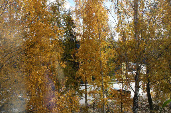 Кафедра Сэигд