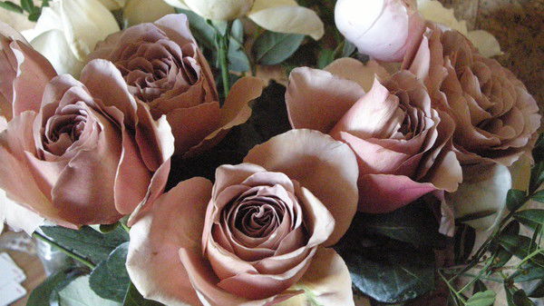 Алена Липкина