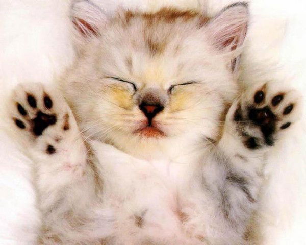 Кристина Мазур