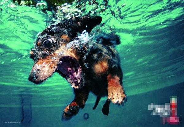 Денис Куприков