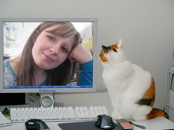 Елена Мохова