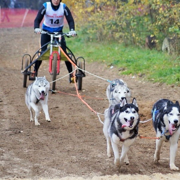 Екатерина Усанова