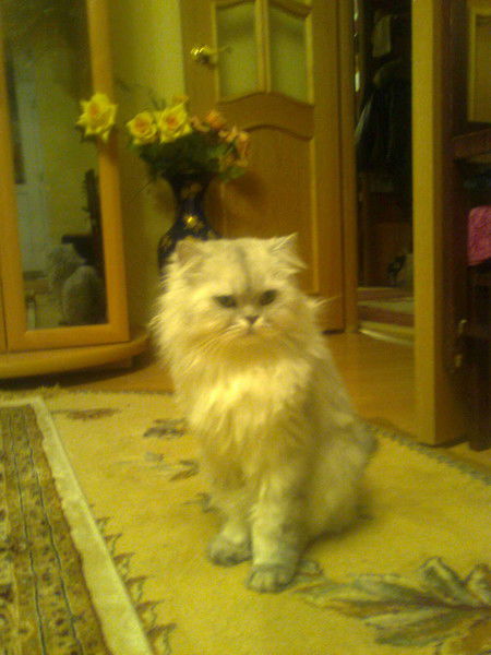 Саулеш Сандыбекова