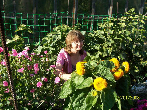 Светлана Аникина