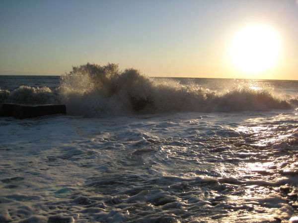 Виталий Гасанов