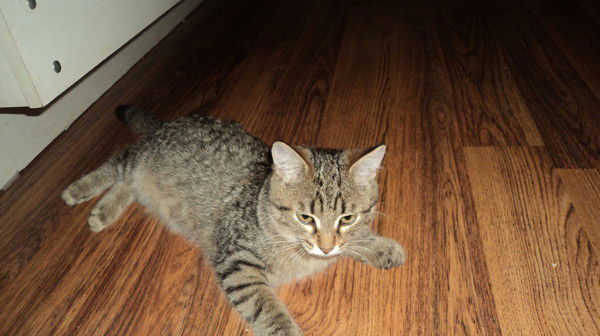 Арина Русинова